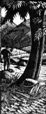 wood-engraving original print: Trout Stream 2, for the dust-jacket of Loved River